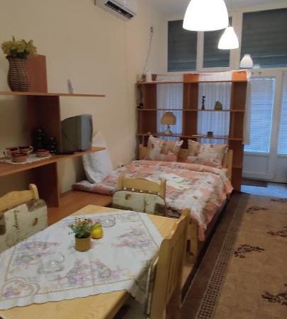 Comfortable And Cosy Studio Near Ndk Szófia Kültér fotó